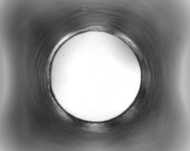 X0000086050808200704091208