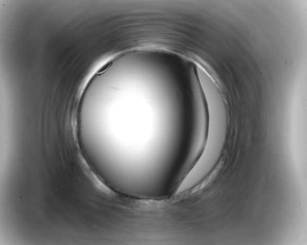 X0000086050812200704091208
