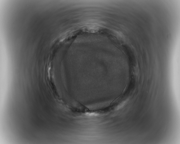 X0000086050818200704091208