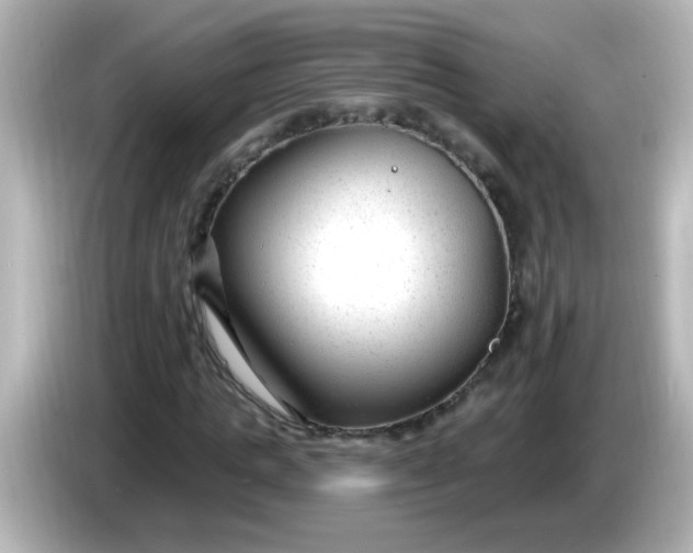 X0000086050821200704091208