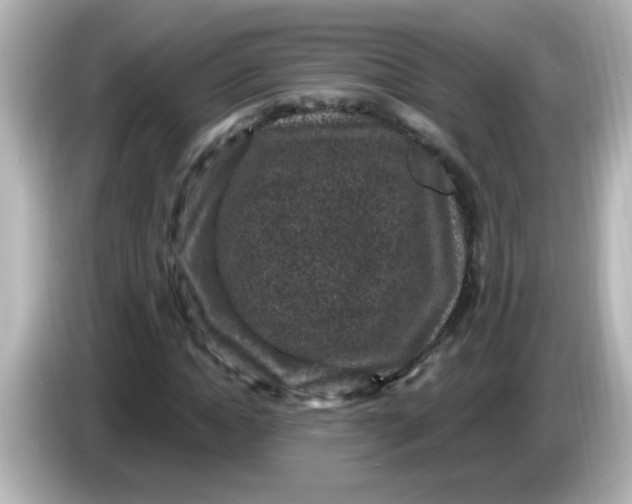 X0000086050822200704091208