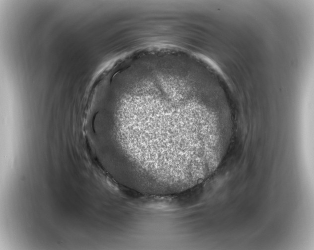 X0000086050823200704091208