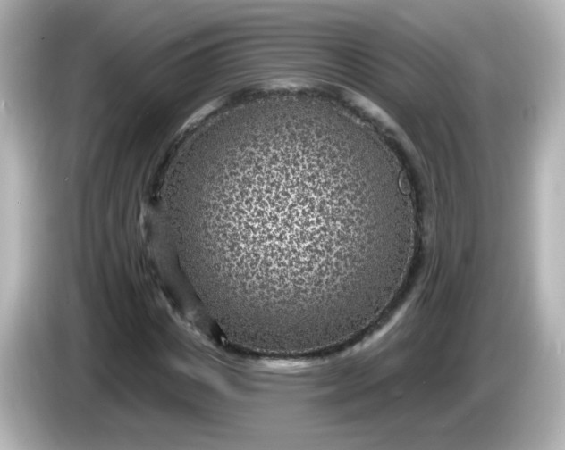 X0000086050825200704091208