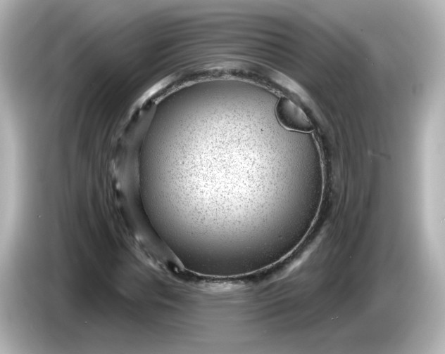 X0000086050826200704091208