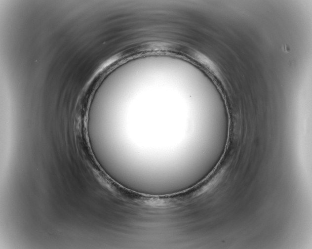 X0000086050827200704091208
