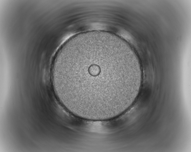X0000086050828200704091208