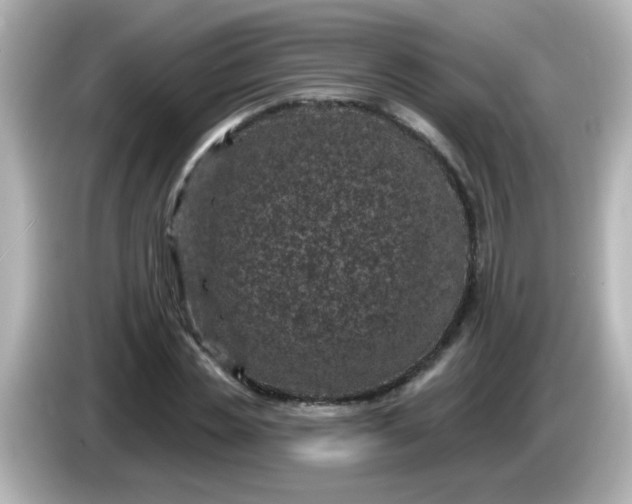 X0000086050829200704091208