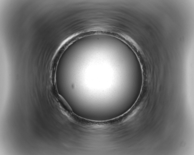 X0000086050830200704091208