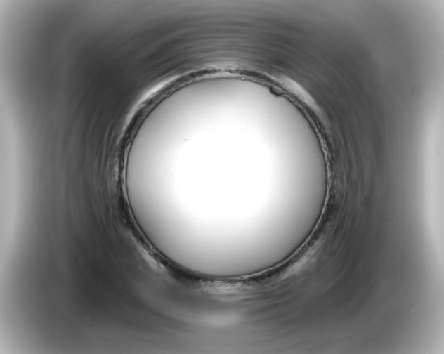 X0000086050831200704091208
