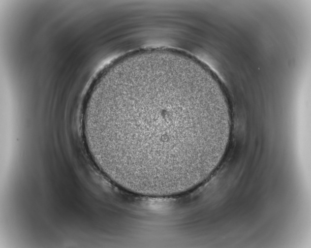 X0000086050832200704091208