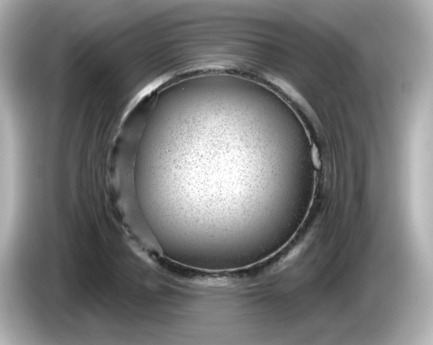 X0000086050834200704091208