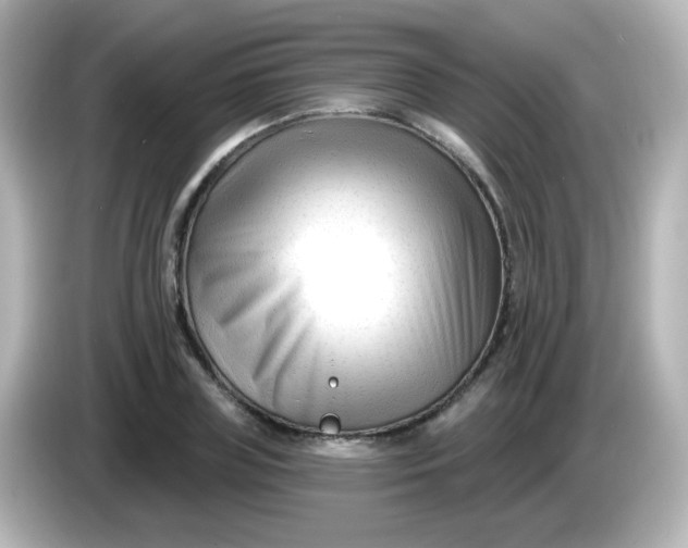X0000086050835200704091208