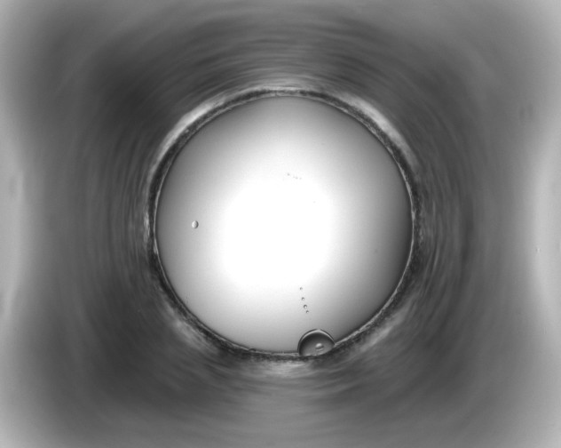 X0000086050837200704091208