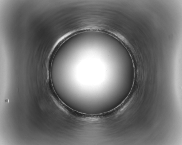 X0000086050838200704091208