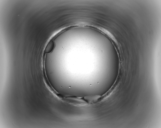 X0000086050839200704091208