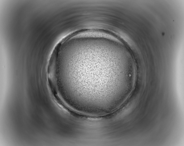 X0000086050840200704091208