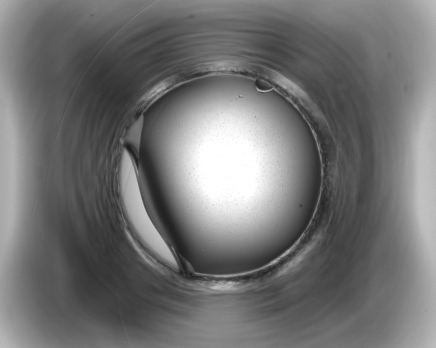 X0000086050841200704091208