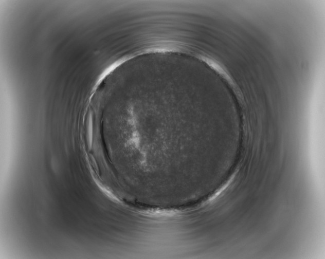 X0000086050842200704091208