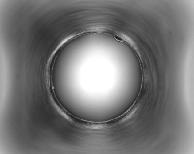 X0000086050843200704091208