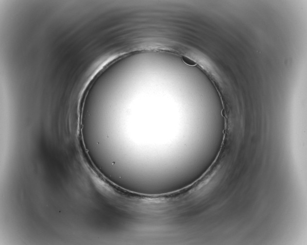 X0000086050844200704091208