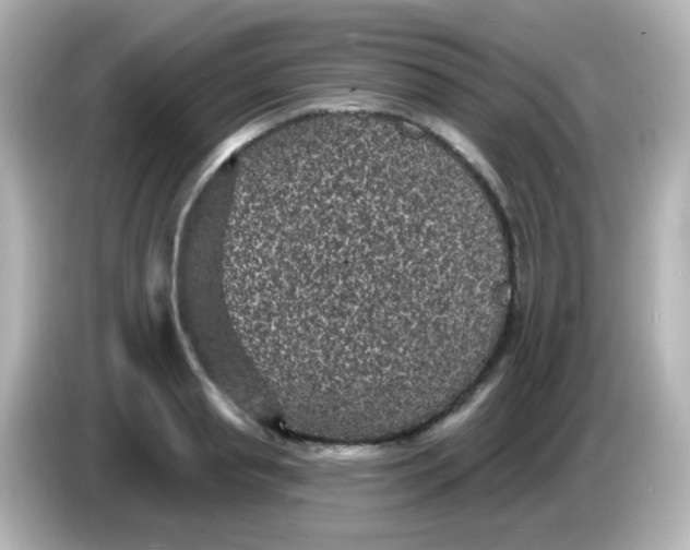 X0000086050845200704091208