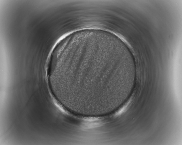 X0000086050846200704091208