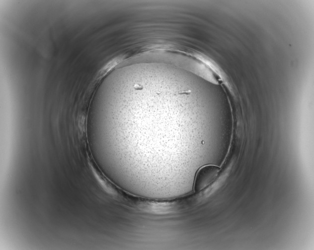 X0000086050849200704091208