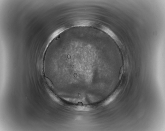 X0000086050850200704091208