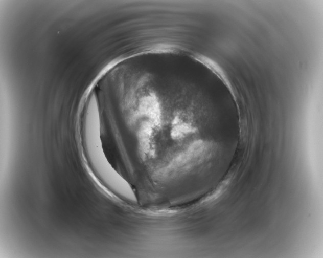 X0000086050851200704091208