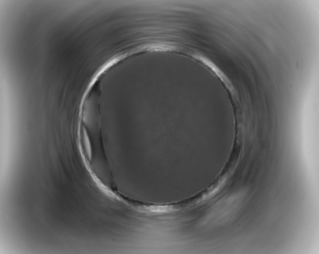 X0000086050853200704091208