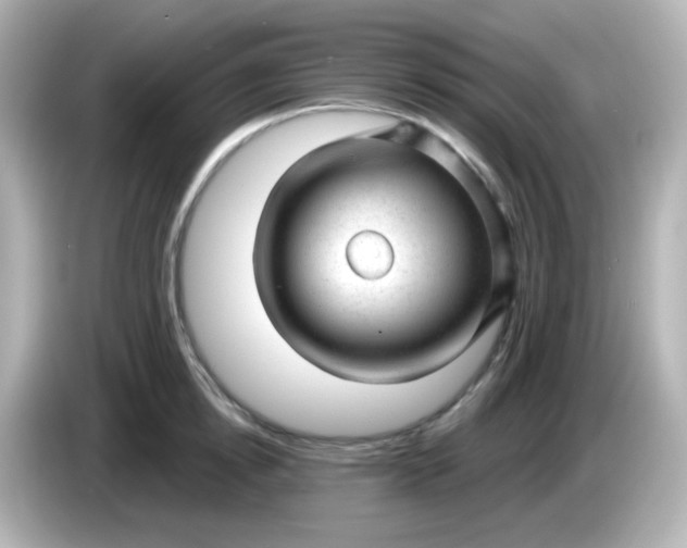 X0000086050854200704091208