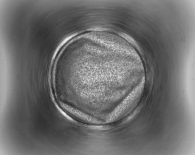 X0000086050855200704091208