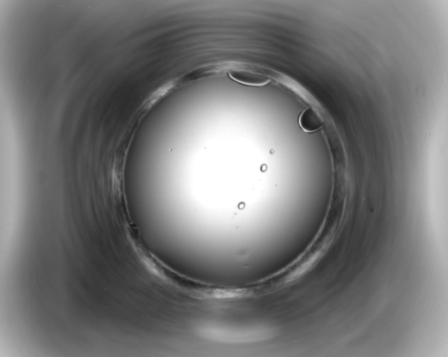 X0000086050857200704091208