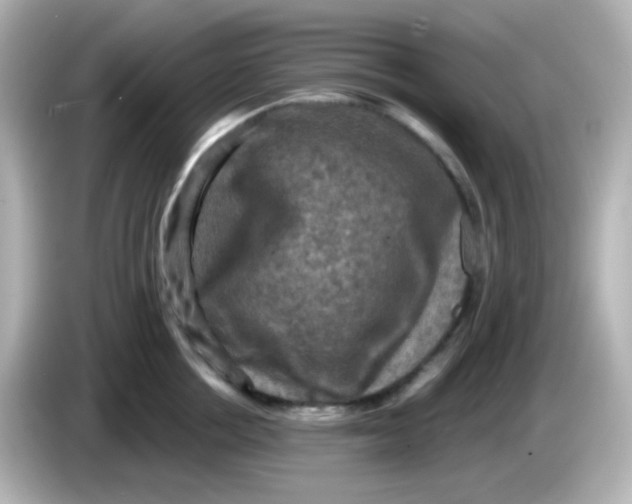 X0000086050858200704091208