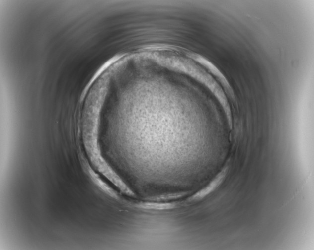 X0000086050860200704091208
