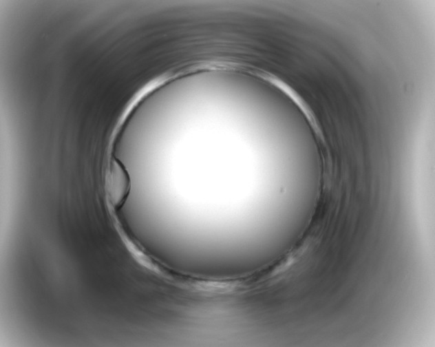 X0000086050861200704091208