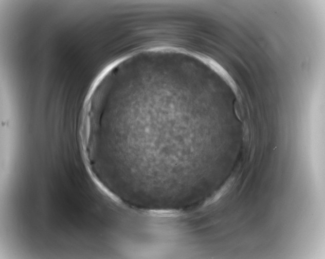 X0000086050863200704091208