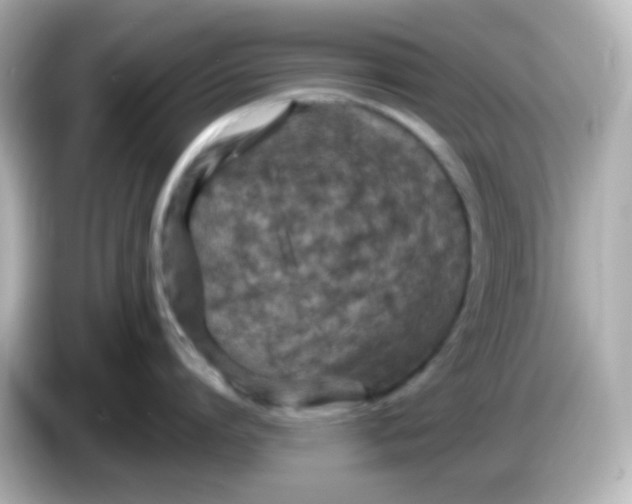 X0000086050864200704091208