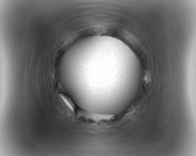 X0000086050867200704091208