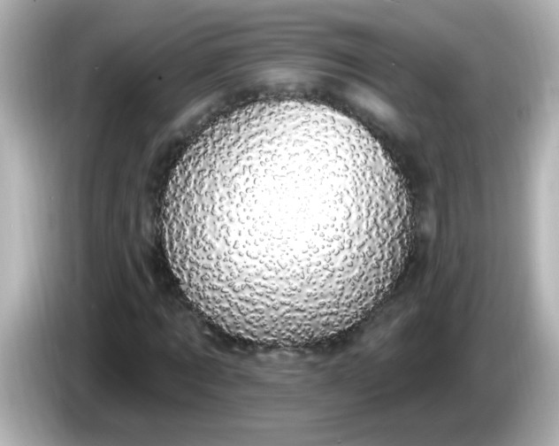 X0000086050869200704091208