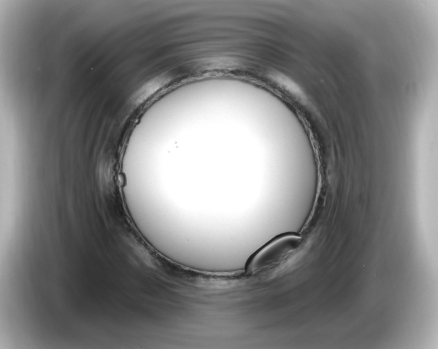 X0000086050873200704091207
