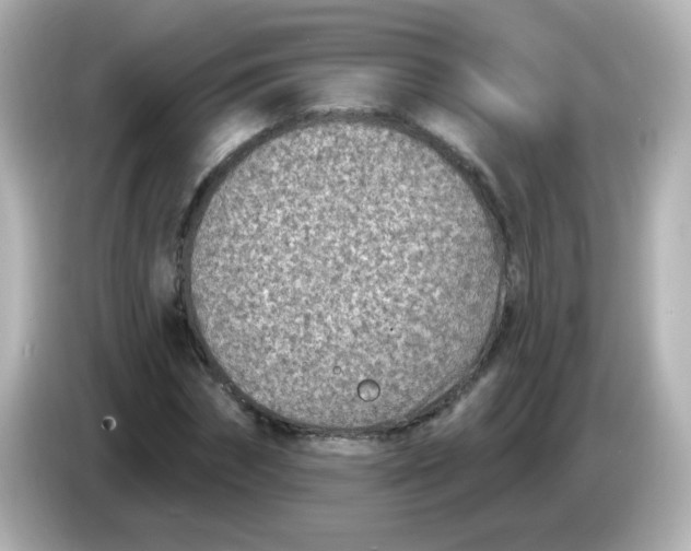 X0000086050874200704091207