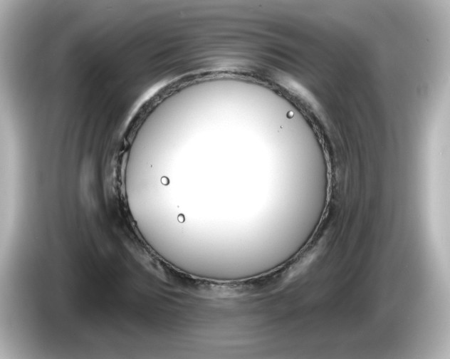 X0000086050875200704091207