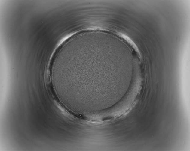 X0000086050876200704091207