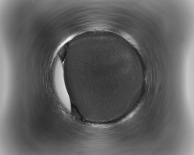 X0000086050877200704091207
