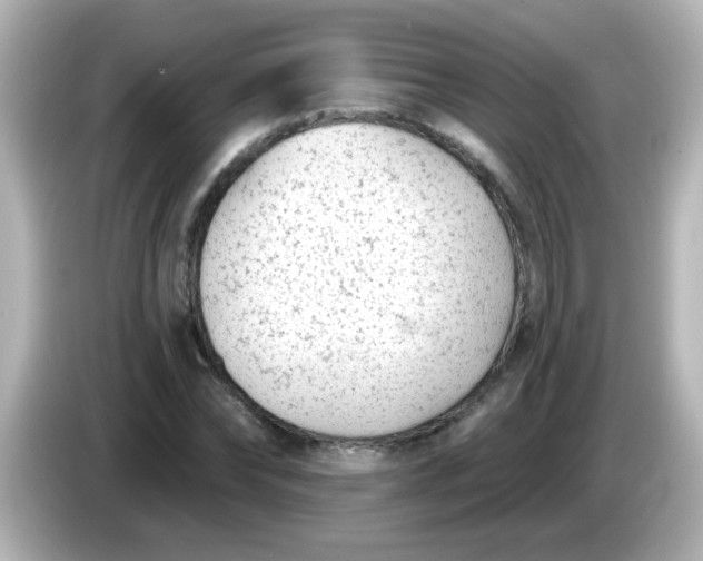 X0000086050878200704091207