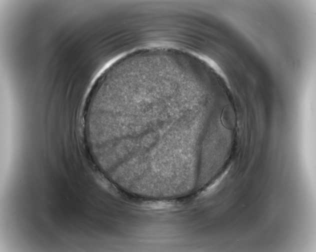 X0000086050879200704091207