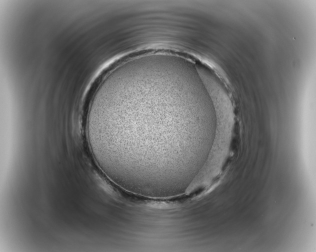 X0000086050880200704091207