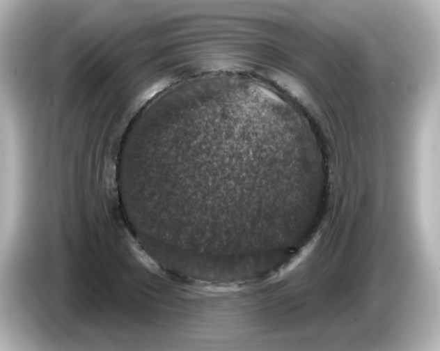 X0000086050881200704091207