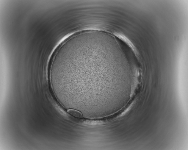 X0000086050884200704091207